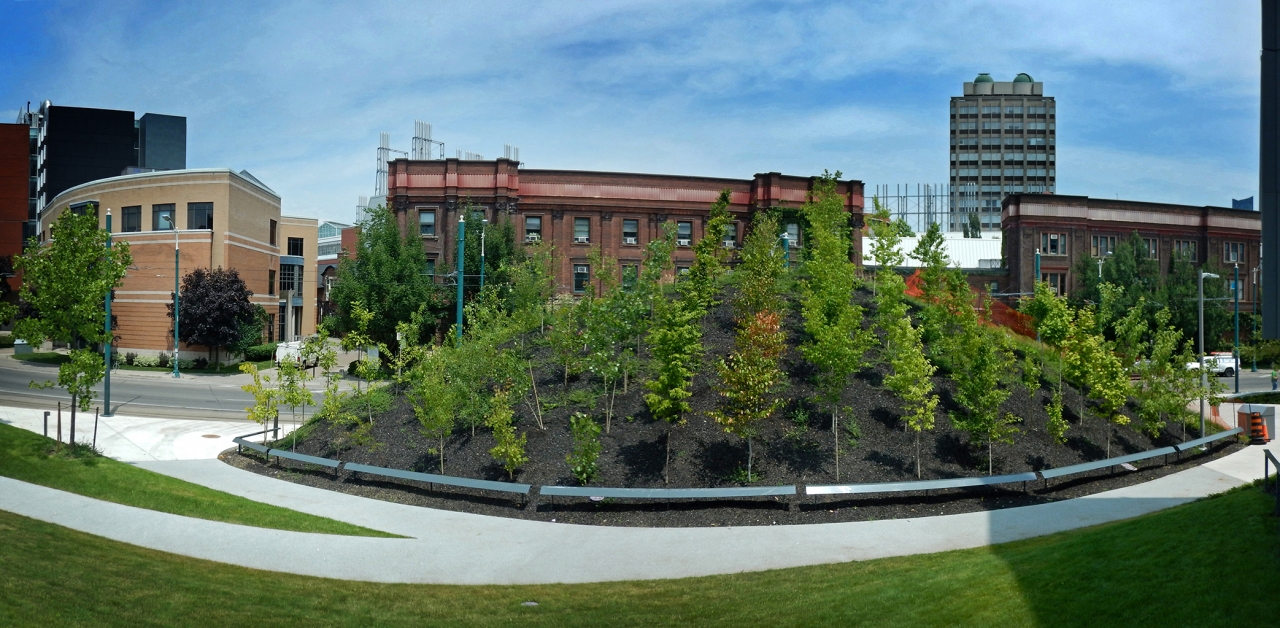 John H. Daniels Faculty of Architecture, Landscape, and Design